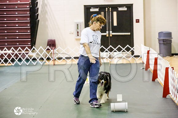 _JJ_4356-BsrCtyJun2014-HR3