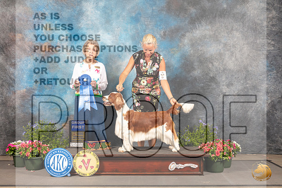 Welsh Springer Spaniel #6 Thurs G1 Judge Anne Bolus_MJ_0046_SA_2022_HR3