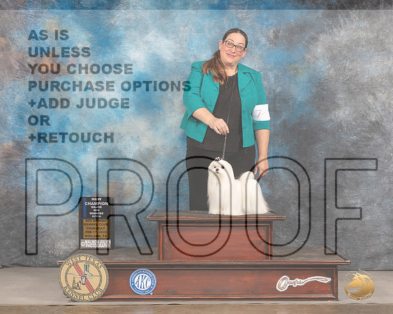 Maltese #14 Thurs WB Judge Brad JenkinsMMJ_3110_Mdlnd2022_HR3