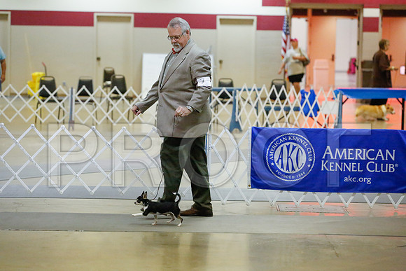 _JJ_0209-AmarilloSept2014-HR3