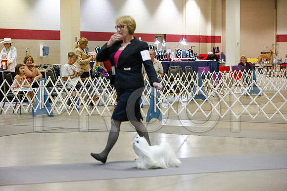 _JJ_1579-AmarilloSept2014-HR3