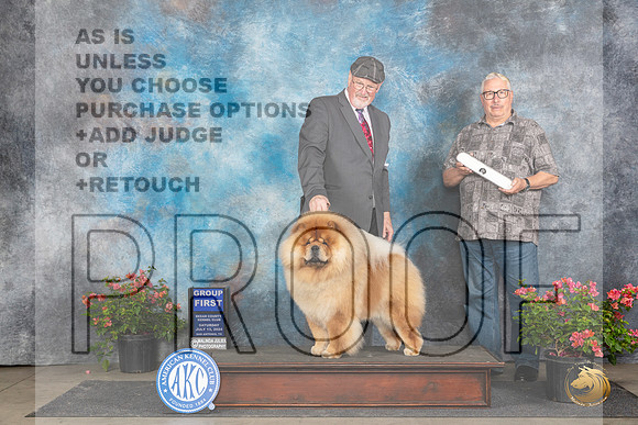 Chow Chow #5 Sat G1 Judge Karen McFarlane __JP_5550_San Antonio_2024_HR3