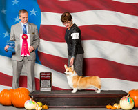 Pembroke Welsh Corgis #8 Sat G2 Your Marian J Judge Mr Rick Gschwender