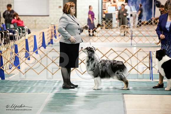 _JN_5078-ASCACollegeStationNov2014-HR3