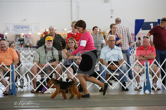 _JJ_2041-DallasJul2014-HR3