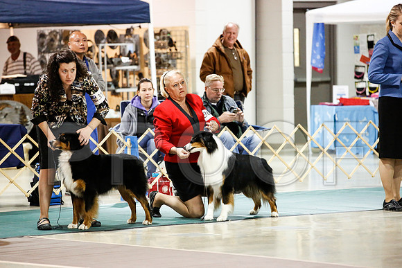 _JN_1377-ASCACollegeStationNov2014-HR3