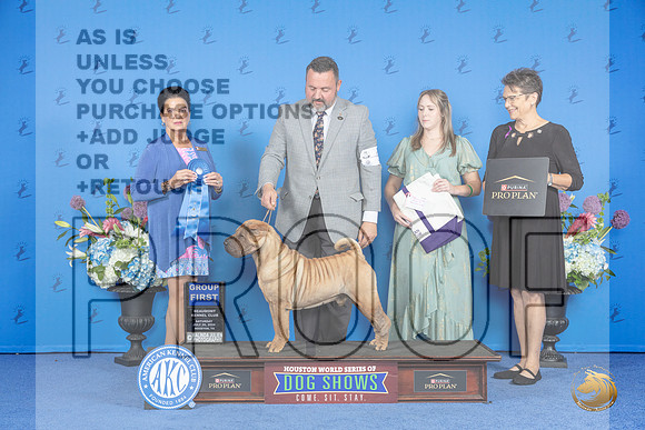 Chinese Shar Pei #5 SAT G1 Judge Douglas Freeman__JP_0005_Houston_2024_HR3