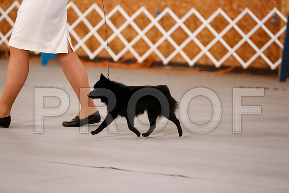_RH_8475-CarlrolltonSept2014-HR3