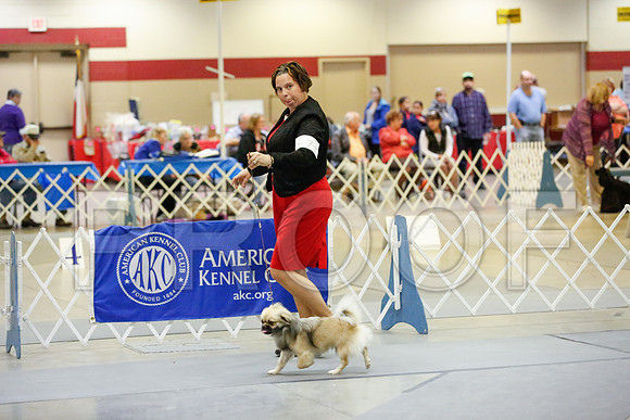 _JJ_8233-AmarilloSept2014-HR3