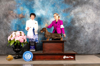 Dachshund #12 FRI G4 Judge Barbara Alderman