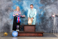 Pomeranian #19 Fri RBIS Judge Denise Dean
