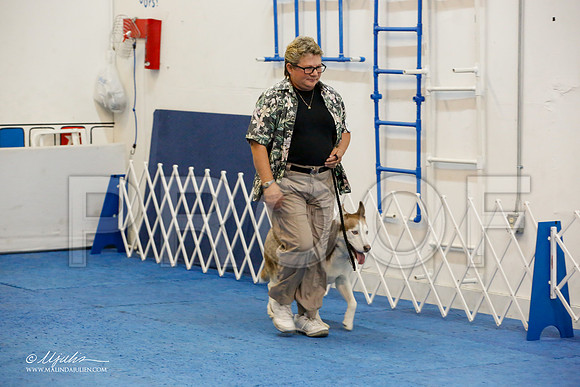 _M3_7854-AddisonHuskyMar2015-HR3