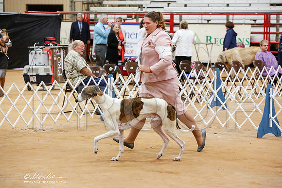 _JN_6239-TxArJun2014-HR3