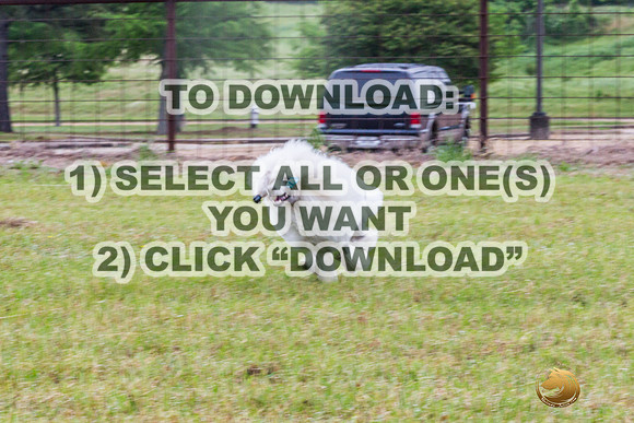 *Precision Coursing Sat-JJL_0940_Batesville_2024-HR3