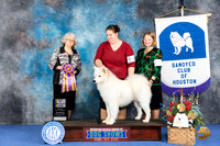 Samoyed #25 WED BOB BISp Judge Annella Cooper