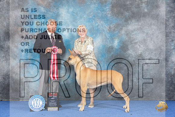Great Dane #6 WED BOS Judge James Remaklus__JP_6802_Houston_2024_HR3