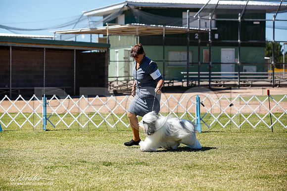 _JN_4879-AlamogordoOct2014-HR3