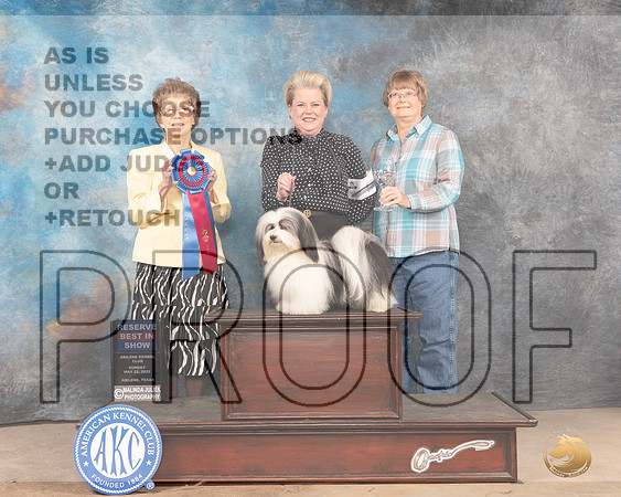 Havanese #9 Sun RBIS Judge Pat Trotter-MMJ_5190-Abilene2022-HR3