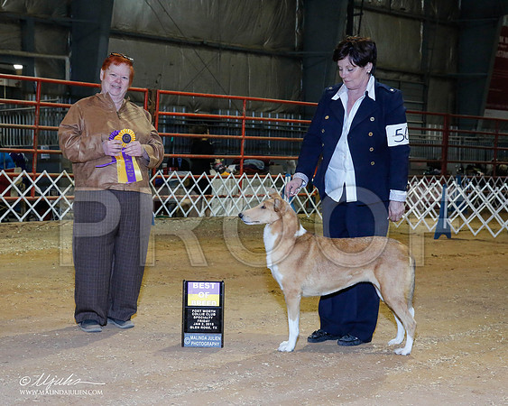 _RH_8621-2-GlenRoseJan2015-HR3