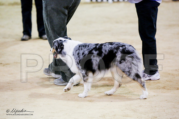 _JN_7681-ASCACollegeStationNov2014-HR3
