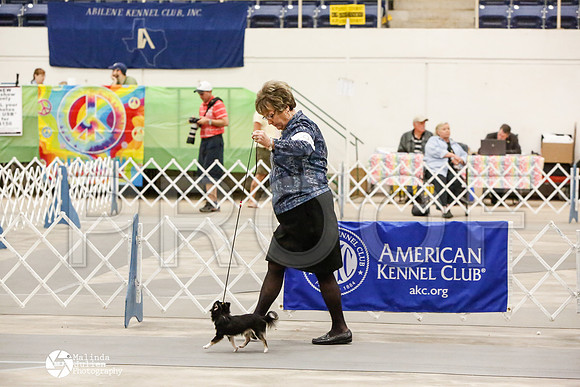 _CK_6734-AblnMay2014-web