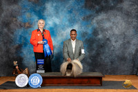 Pekingese #17 Fri G1 Judge Suzanne Dillin