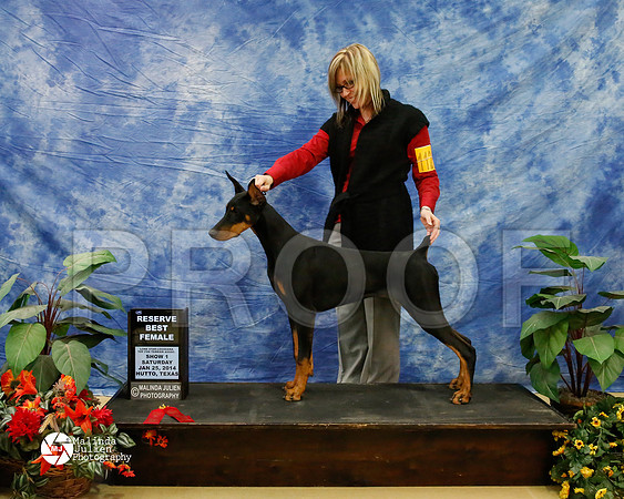 dobe-6249-HtoJan14-HR