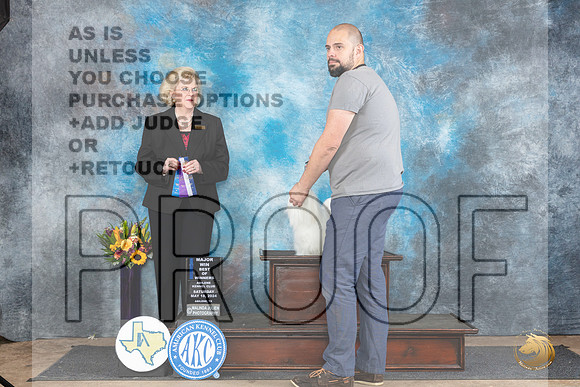 Maltese #9 Sat BOWM Judge Vicki Abbott__JP_0039_Abilene_2024_HR3