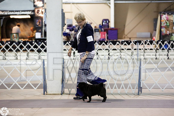 _RH_4464-SanAntonioJul2014-HR