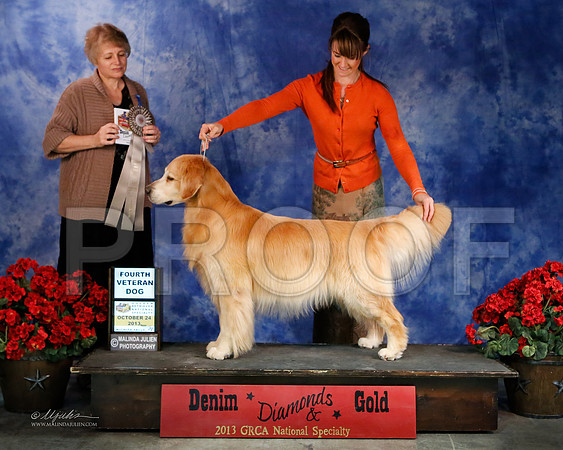 Vet-7422-WFOct2013-HR