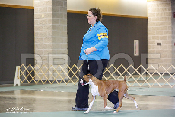 _JN_1645-BeltonJan2015-HR3