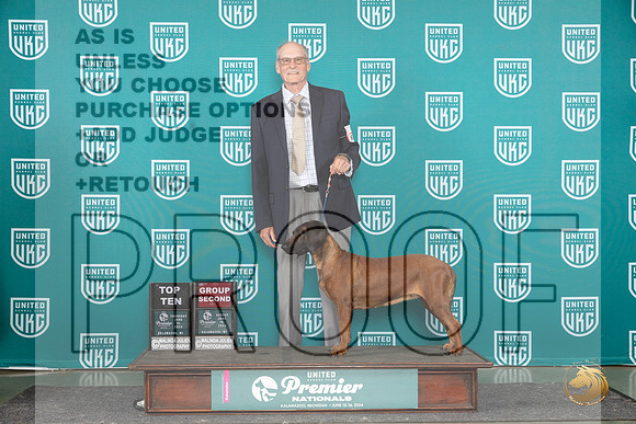 Bavaria Mountain Hound #683 Sun G2 Judge Lori Sargent__JP_3230_Premier_2024_HR3