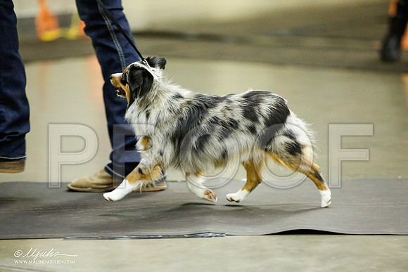 _JJ_6989-BeltonJan2015IABCA-HR3