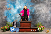Toy Manchester Terrier #8 Sun WB Judge Cindy Lane r