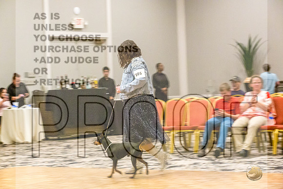 Manchester Terrier MTOY Candids-JJL_1836-Hstn2022_HR3