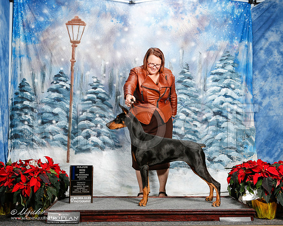 _ST_9113-2-DallasDec2014-HR3