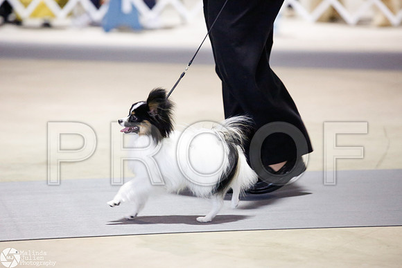 _JJ_3190-SanAntonioJul2014-HR