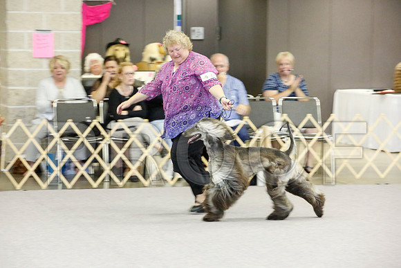 _JJ_1748-AfgBeltonOct2014-HR3