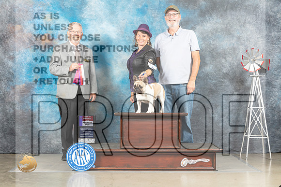 French Bulldog #7 Thur OHG2 Judge Alfred Ferruggiaro_MJ_3739_Amarillo_2022_HR3