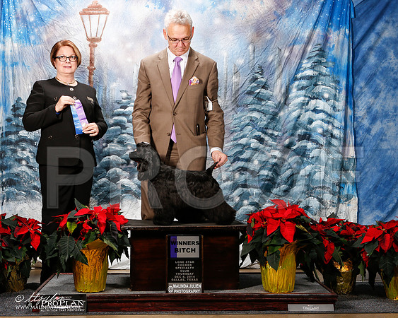 _ST_8045-2-DallasDec2014-HR3