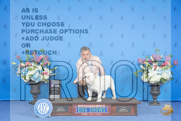 Bulldog #17 SUN RWD Judge Douglas Johnson__JP_0014_Houston_2024_HR3
