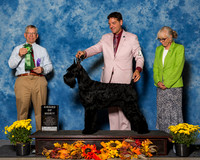 Giant Schnauzers #40 Sat AoM Donna Jansen D Greg Reyna Michael Rutkus Agent Greg Reyna Judge Mr Richard J Lewis