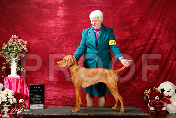 _ST_2915-2-BeltonJan2015IABCA-HR3
