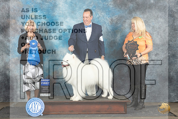 Samoyed #7 Sat G1 Judge Debra Thornton__JP_3667_Lubbock_2024_HR3