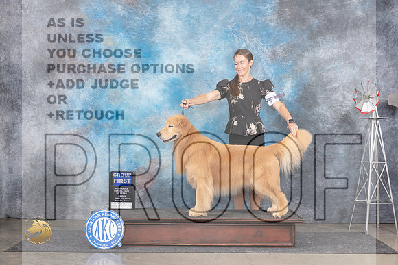 Golden Retriever #11 Fri G1 Judge Pat Trotter__JP_5625_Amarillo_2024_HR3