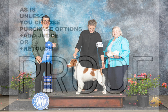 Brittany #17 Sun G1 Judge Victor Rosado__JP_6352_San Antonio_2024_HR3