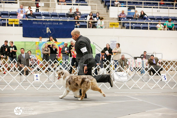 _JJ_1171-AblnMay2014-web