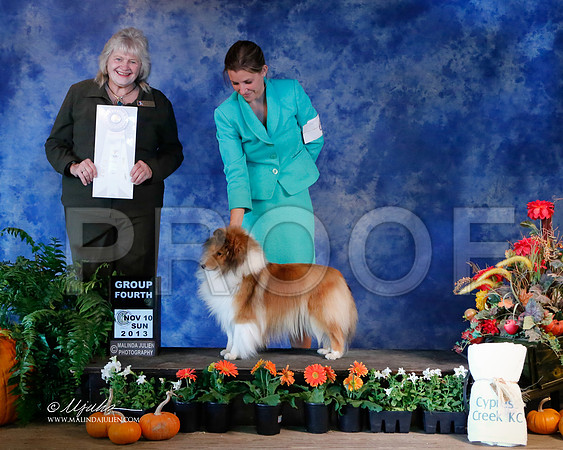 SS-6250-HstnNov13-HR
