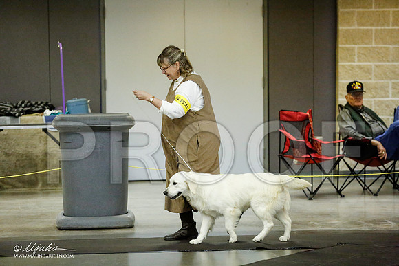 _RH_1062-BeltonJan2015IABCA-HR3
