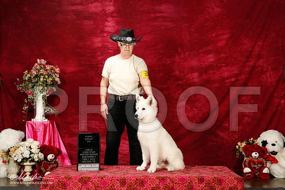 _ST_2896-2-BeltonJan2015IABCA-HR3